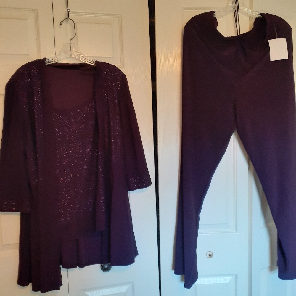 Womans Plum R & M Richard's  Pant Outfit